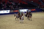 Quadrille - 00163